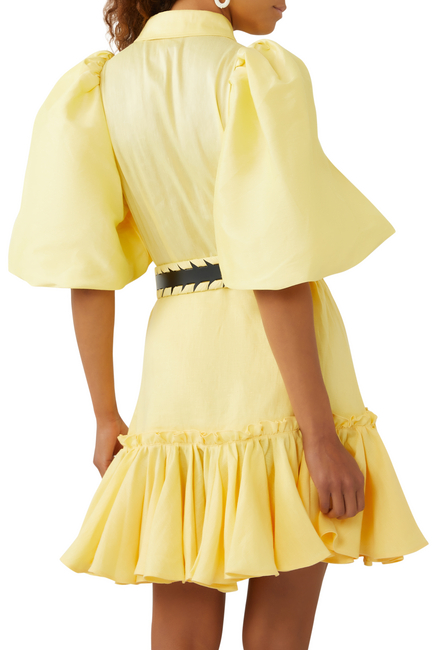 Sophie Bishop Sleeve Mini Dress